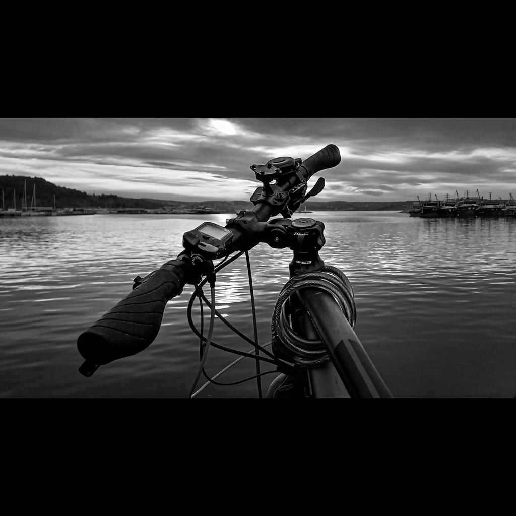 Bisikletten Liman Seyri